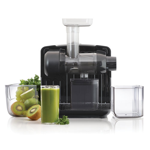 Omega Cold Press 365 Masticating Slow Juicer With OnBoard Storage, In